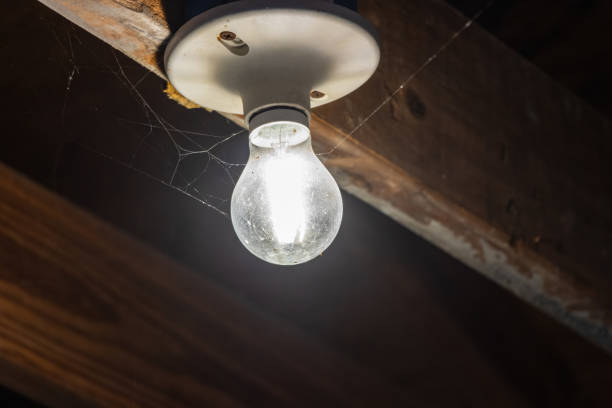 Lone lit lightbulb in shed covered in cob webs