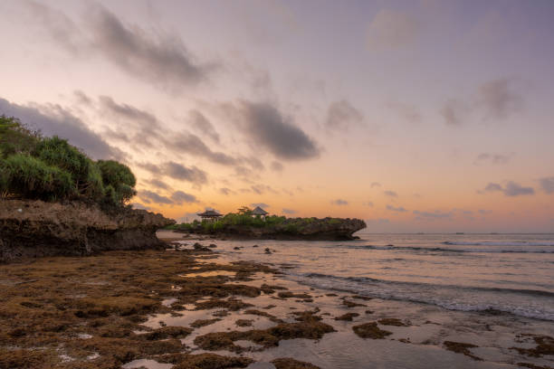 istock Nusa Dua beach at low tide 1810046396