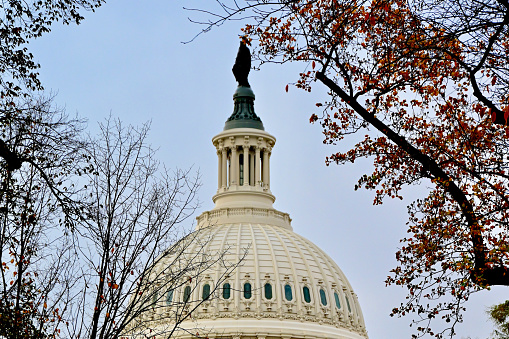 Washington, D.C., USA - November 20, 2023: Trees frame the United States Capitol on a late fall afternoon.