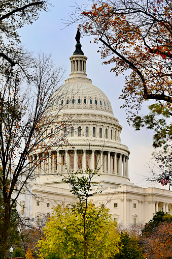 Washington, D.C., USA - November 20, 2023: Trees frame the United States Capitol on a late fall afternoon.
