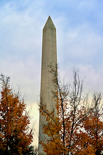 Washington, D.C., USA - November 20, 2023: The Washington Monument is seen through colorful leaves on a late autumn afternoon.