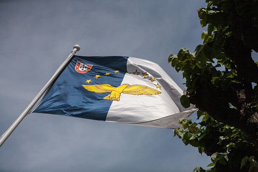 Ponta Delgada, Azores, Portugal - May 25, 2017: Flag of the Azores autonomic region, waving, framed by a tree