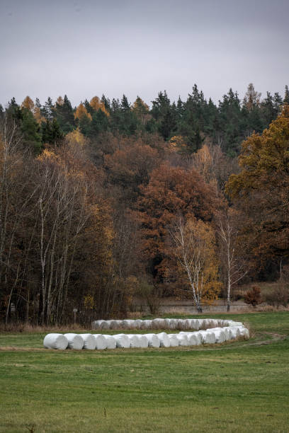 Silobags in the field. Silobags in the field in Germany. silo bag stock pictures, royalty-free photos & images