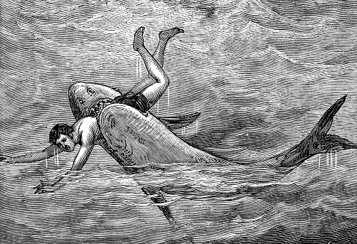 A person being attacked by a Great White Shark. Vintage etching circa 19th century.