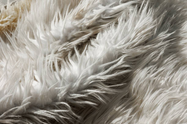 istock Close up artificial fluffy white-grey fabric fur, wool shaggy carpet with long pile. Soft loop pile surface. Hairy carpet detail. Faux fur texture, background. 1810110383