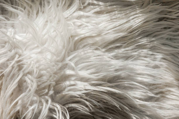 Close up artificial fluffy white-grey fabric fur, wool shaggy carpet with long pile. Soft loop pile surface. Hairy carpet detail. Faux fur texture, background.