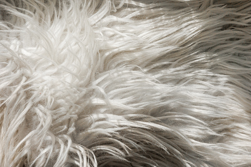 Close up artificial fluffy white-grey fabric fur, wool shaggy carpet with long pile. Soft loop pile surface. Hairy carpet detail. Faux fur texture, background