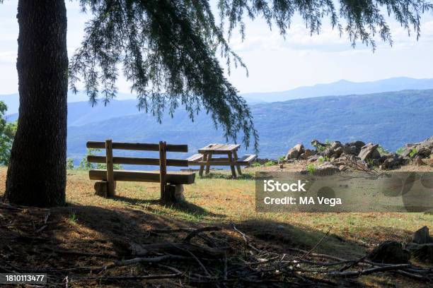 Wooden Bench And Table In Nature Between Trees In The Sun Horizontally Stock Photo - Download Image Now