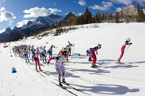 Skiers participate in the Women's World Cup Cross-Country Skiathlon Ski Race on March 9, 2016 at the Canmore Nordic Centre Provincial Park in Alberta, Canada. (John Gibson Photo/Gibson Pictures)