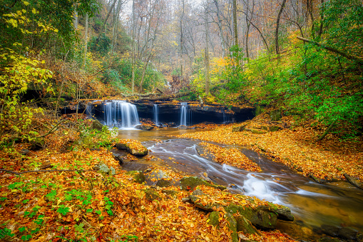 A dreamy Autumn landscape of a silky waterfall on a ledge in a misty forest in North Carolina. HD Autumn waterfall landscape.