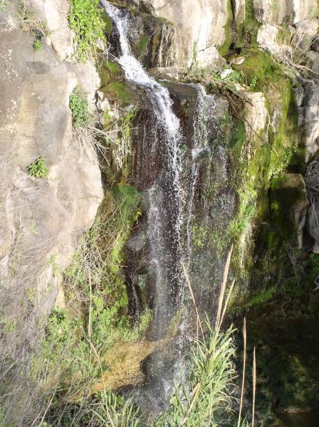 istock Golan Galilee heights hills mountains waterfall North Israel 1810208906