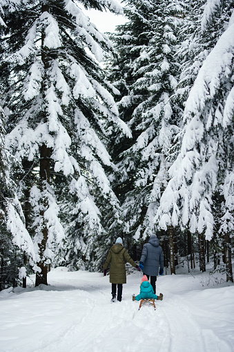 An unrecognizable man and a woman walking through the forest covered in snow. They are pulling the sleds with their child on it.