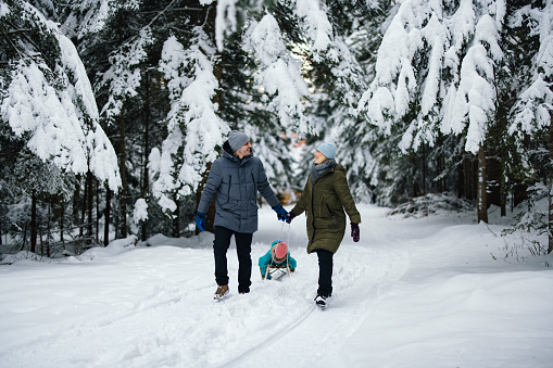 A happy loving couple walking through the forest covered in snow. Together they are pulling the sled with their child on it.