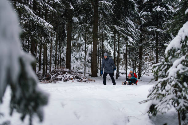 istock Happy Father Pulling Sleds With His Wife and Daughter Sitting on It 1810255625