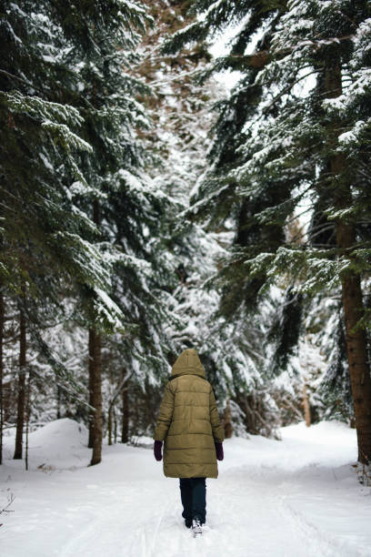 Free Stock Photo of Person Walking Through Snowy Forest | Download Free ...