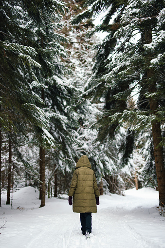 Unrecognizable woman walking alone through the snowy forest on a cold winter day. Shot is from the back.