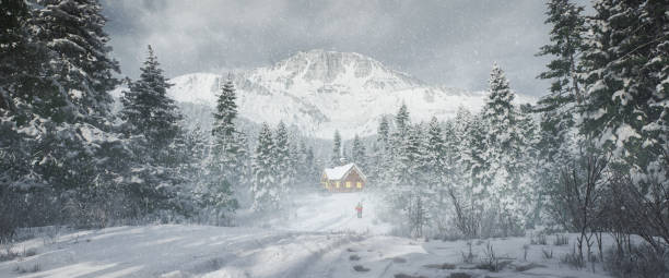 dreamlike zimowa sceneria - blizzard house storm snow zdjęcia i obrazy z banku zdjęć