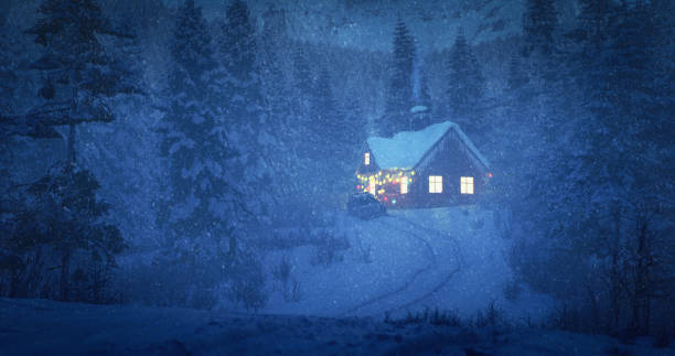 Digitally generated brightly lit small hut adorned with colorful Christmas lights creating a festive atmosphere.The scene was created in Autodesk® 3ds Max 2024 with V-Ray 6 and rendered with photorealistic shaders and lighting in Chaos® Vantage with some post-production added.