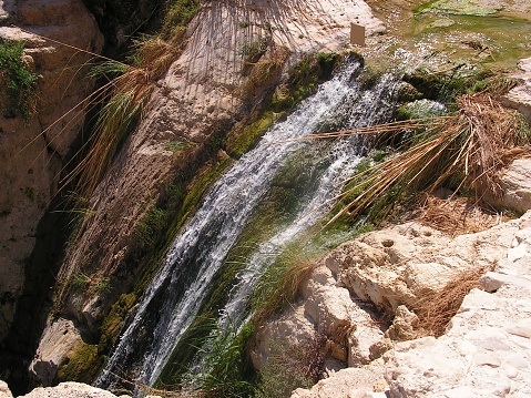Negev desert waterfall Mitzpe Ramon Ein Avdat National Park Israel mountains rocks cliffs plants