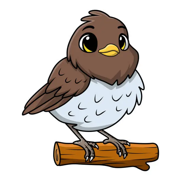 Vector illustration of Cute robin bird cartoon on white background