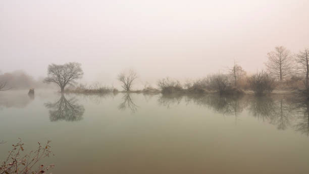 istock lake with fog 1810371320