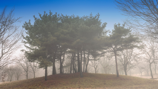 A park where fog rises (November 22, 2023, Yongdam Lake Jucheon Ecological Park, Jinan-gun, Jeollabuk-do, Korea)