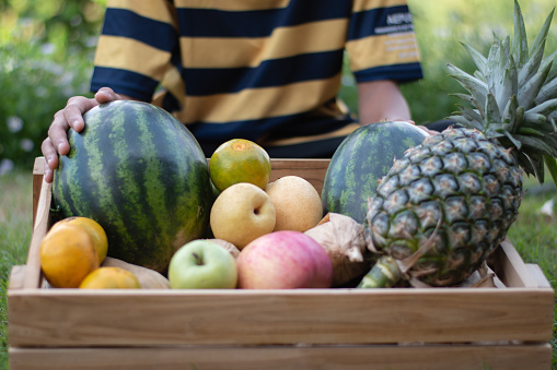 Asian boy preparing wooden basket of fruits from his family garden and sitting on grass lawn beside his farmhouse to celebrate thanksgiving day ceremony, soft and selective focus.