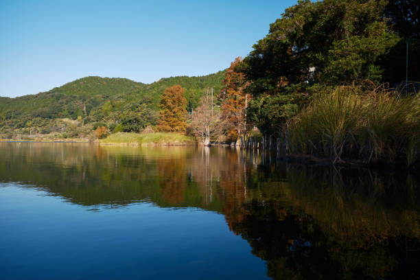 istock Autumn scenery of quiet Imuta Pond 1810410904