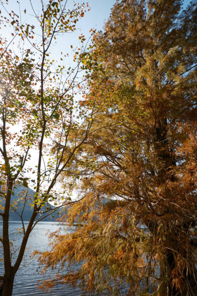 istock Autumn lake natural scenery 1810411939