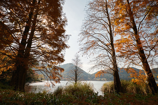 Beautiful autumn scenery of Imuta Pond