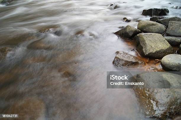 Rio - Fotografias de stock e mais imagens de Animal selvagem - Animal selvagem, Ao Ar Livre, Beleza