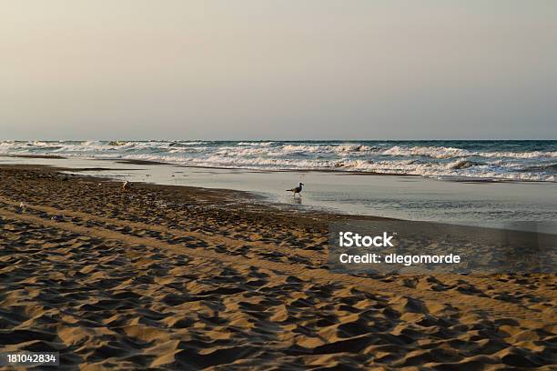 Beach Of The Dossel Stock Photo - Download Image Now - 2012, Beach, Coastline