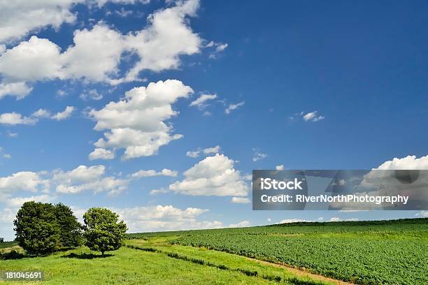 Rolling Farmland Iowa Stock Photo - Download Image Now - Agricultural Field, Agriculture, Cloud - Sky