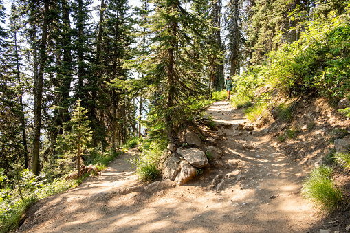 HIker Coming Down Switch Back In Grand Teton