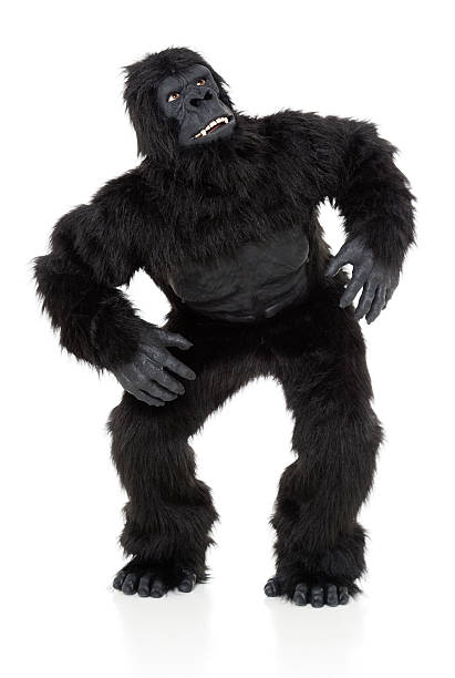 gorilla auf weiß - monkey mask animal ape stock-fotos und bilder