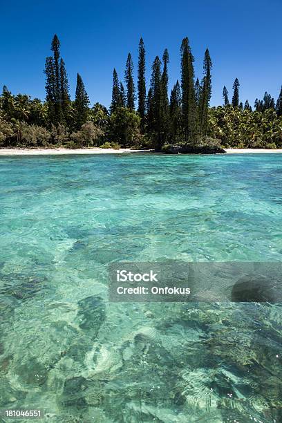 Spiaggia Tropicale Paradisiaca Isola Dei Pini Nuova Caledonia - Fotografie stock e altre immagini di Acqua