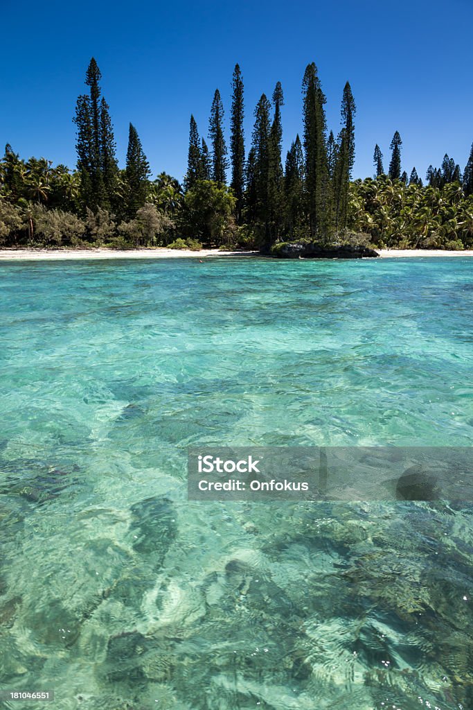 Tropikalnej plaży raj, Isle of Pines, Nowa Kaledonia - Zbiór zdjęć royalty-free (Dzień)