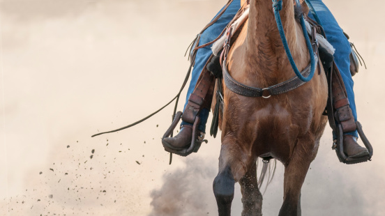 midsection of a horse as a cowboy is running her.