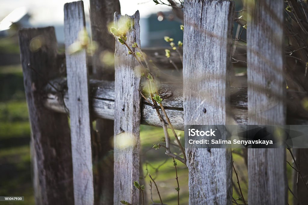 Old Rural Vedação - Royalty-free Antigo Foto de stock