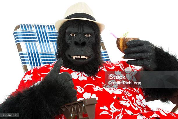 Photo libre de droit de Gorille En Vacances banque d'images et plus d'images libres de droit de Gorille - Gorille, Humour, Chapeau
