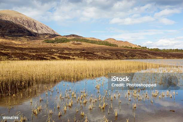 Beinn Na Cailleach 및 앤 로한 Cill Chriosd 스카이 섬 0명에 대한 스톡 사진 및 기타 이미지 - 0명, 가을, 갈대속-벼과