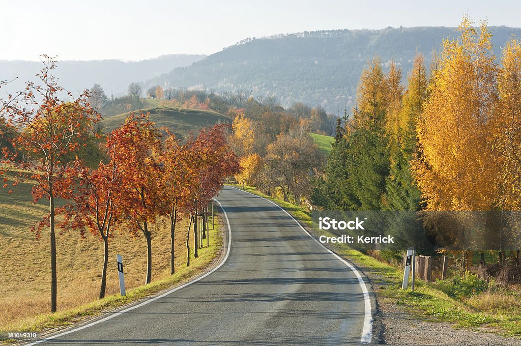 Herbstliche Landschaft mit country street - Lizenzfrei Ast - Pflanzenbestandteil Stock-Foto