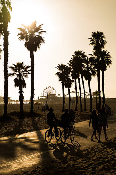 Santa Monica Beach Stock Photo - Download Image Now - Black And White, City  Of Los Angeles, Photography - iStock