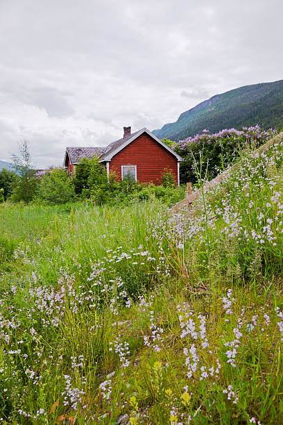 istock Abandoned house in an overgrown garden. 181050479