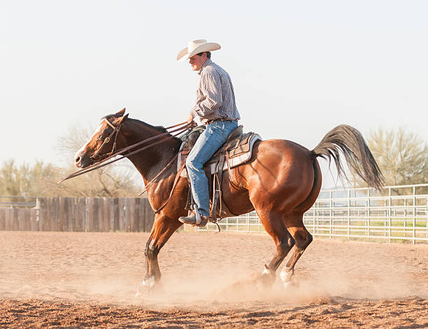 istock Cowboy reining Bay Horse 181050850