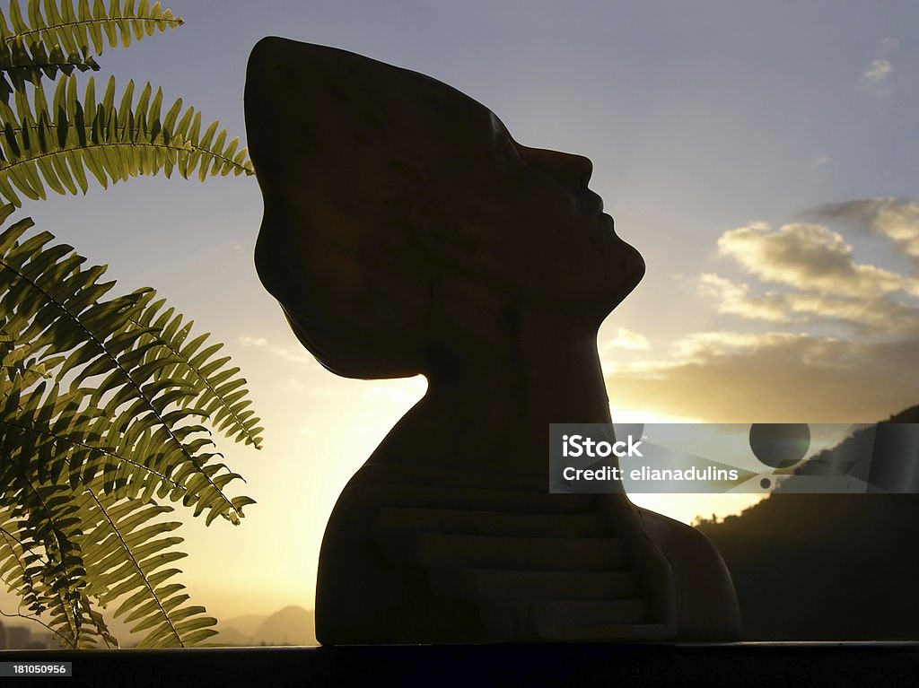 Sculptured profile "Sculpture of a woman's classic profile in silhouette against the sunset; artist Eliana de Velasco, Rio de Janeiro. CLICK on any image below to go directly to elianadulinsaaSUNSET light files :" Adult Stock Photo