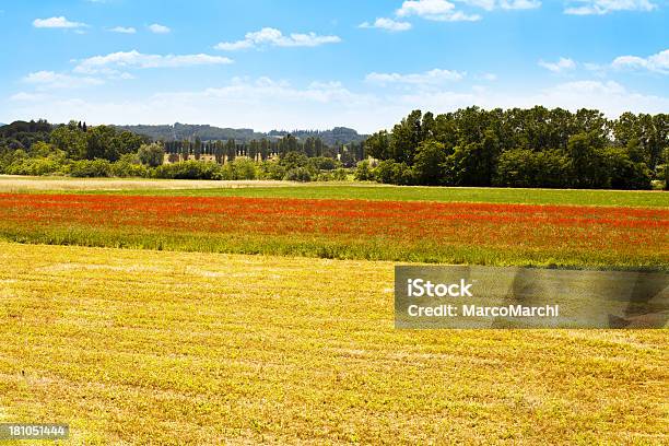 Paisagem Toscana - Fotografias de stock e mais imagens de Agricultura - Agricultura, Ajardinado, Amanhecer