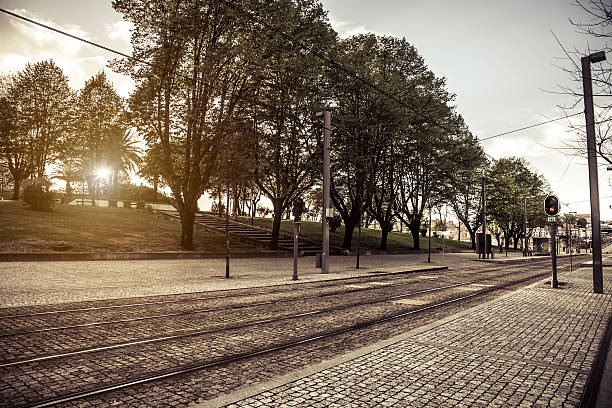 istock City park at sunrise 181051926