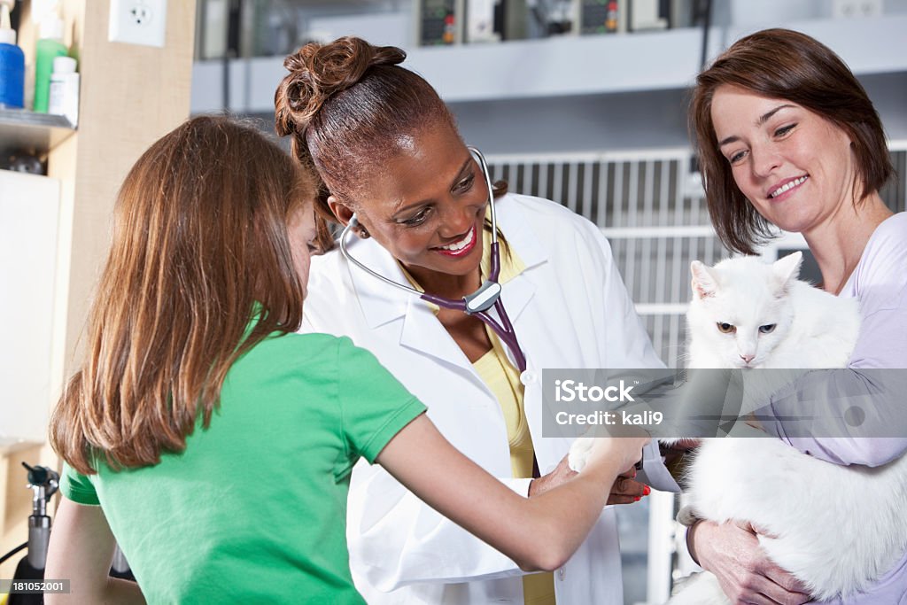 Toma cat al veterinario - Foto de stock de Veterinario libre de derechos