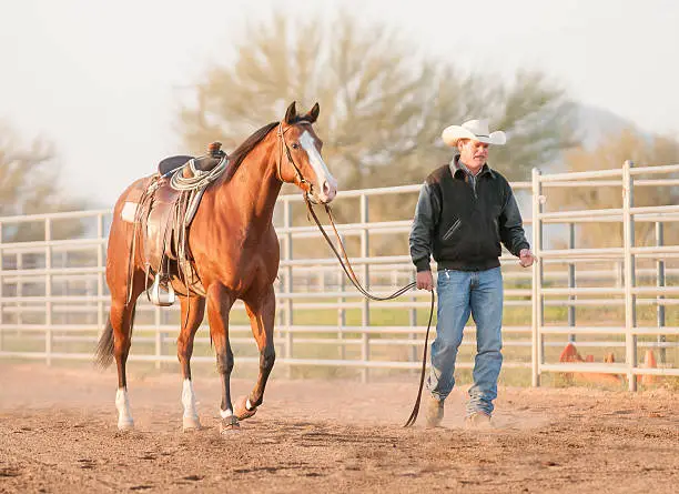 Cowboy holding onto the rope, leading brown horse.  Shallow DOF